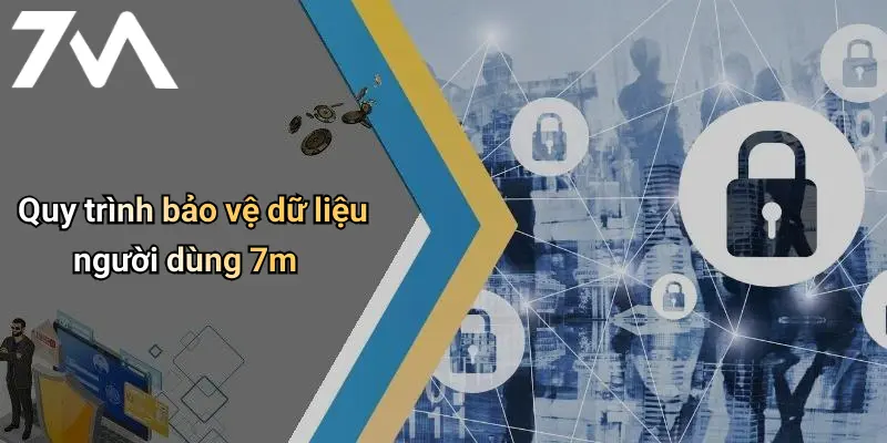Quy trình bảo vệ dữ liệu người dùng 7m
