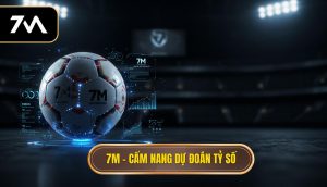 7M – cẩm nang dự đoán tỷ số